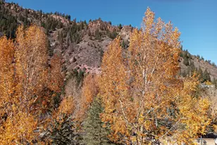 0039 Boomerang Rd Rd, Aspen, CO 81611 - Photo 23