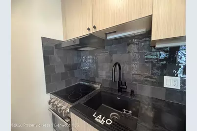725 E Main Street #107, Aspen, CO 81611 - Photo 3