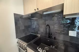 725 E Main St, Aspen, CO 81611 - Photo 3