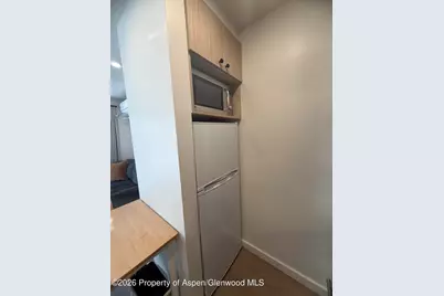 725 E Main Street #107, Aspen, CO 81611 - Photo 7
