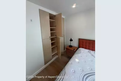 725 E Main Street #107, Aspen, CO 81611 - Photo 5
