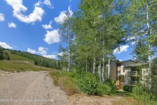 855 Carriage Way, Snowmass Village, CO 81615 - Photo 13