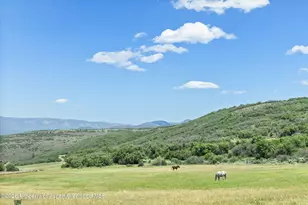 160 Spring Creek Rd, Basalt, CO 81621 - Photo 61