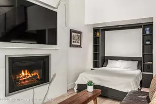 690 Carriage Way, Snowmass Village, CO 81615 - Photo 7