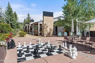 690 Carriage Way, Snowmass Village, CO 81615 - Photo 15
