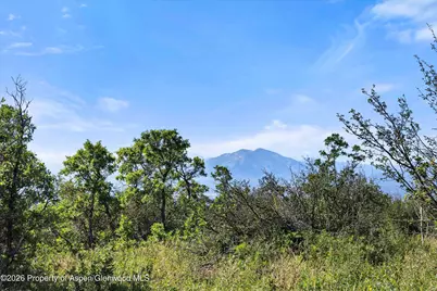 4080 County Road 121, Glenwood Springs, CO 81601 - Photo 9
