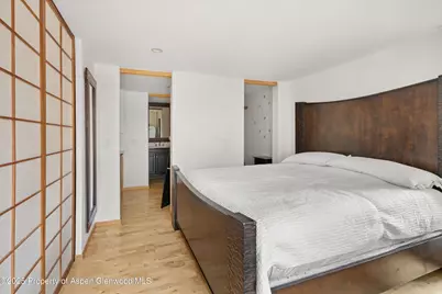 935 E Hopkins Avenue #7, Aspen, CO 81611 - Photo 13