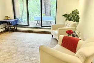 1214 Vine St, Aspen, CO 81611 - Photo 3