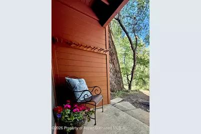 1214 Vine Street #1214, Aspen, CO 81611 - Photo 11