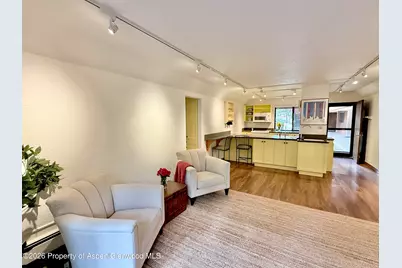 1214 Vine Street #1214, Aspen, CO 81611 - Photo 1