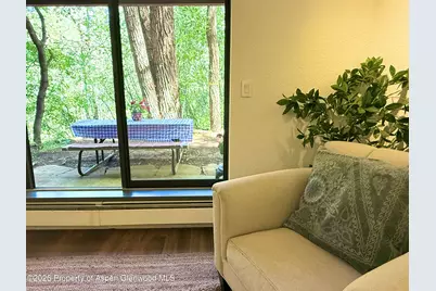 1214 Vine Street #1214, Aspen, CO 81611 - Photo 9