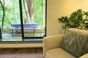 1214 Vine St, Aspen, CO 81611 - Photo 9