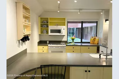 1214 Vine Street #1214, Aspen, CO 81611 - Photo 5