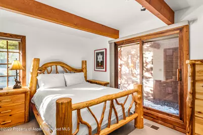 630 E Cooper Avenue #1, Aspen, CO 81611 - Photo 9