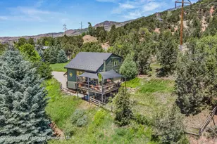 56 Booth Ln, Basalt, CO 81621 - Photo 47