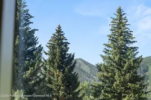 1221 Vine St, Aspen, CO 81611 - Photo 15