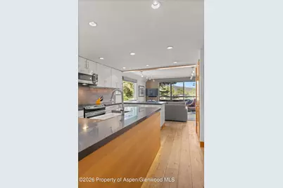 1221 Vine Street #1221, Aspen, CO 81611 - Photo 13
