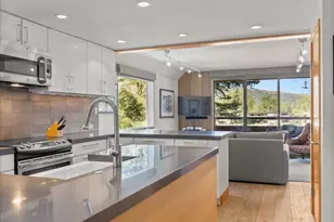 1221 Vine St, Aspen, CO 81611 - Photo 13