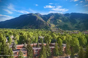 1221 Vine St, Aspen, CO 81611 - Photo 17
