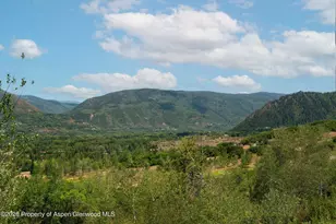 691 Pfister Dr, Aspen, CO 81611 - Photo 71
