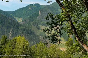 855 Gibson Ave, Aspen, CO 81611 - Photo 15