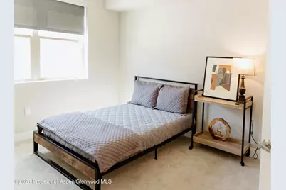 253 Wulfsohn Road #117, Glenwood Springs, CO 81601 - Photo 5
