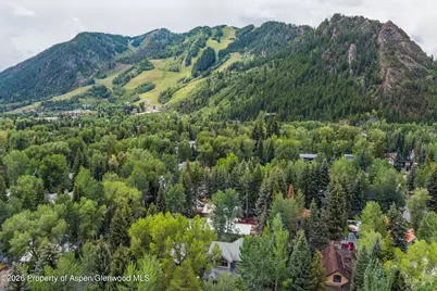 413 W Smuggler Street, Aspen, CO 81611 - Photo 29