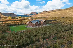 3875 F 3/4 Rd, Palisade, CO 81526 - Photo 43