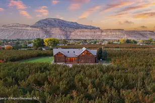 3875 F 3/4 Rd, Palisade, CO 81526 - Photo 35