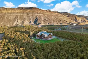 3875 F 3/4 Rd, Palisade, CO 81526 - Photo 49