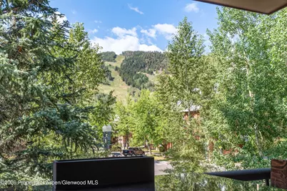 600 E Main Street #301, Aspen, CO 81611 - Photo 5