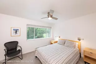 405 Park Ave, Basalt, CO 81621 - Photo 33