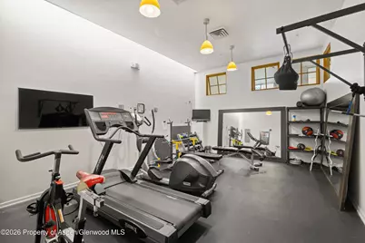231 Robinson Street #218, Basalt, CO 81621 - Photo 19