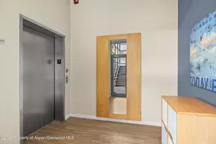 231 Robinson St, Basalt, CO 81621 - Photo 21