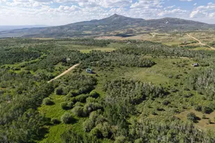 276 Sycamore Rd, Craig, CO 81625 - Photo 3