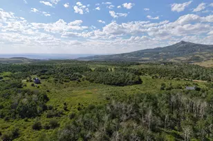 276 Sycamore Rd, Craig, CO 81625 - Photo 19