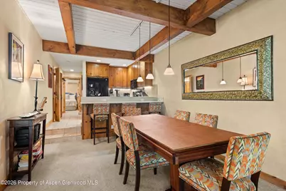 610 S West End Street #D105, Aspen, CO 81611 - Photo 7