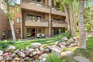 610 S West End St, Aspen, CO 81611 - Photo 3