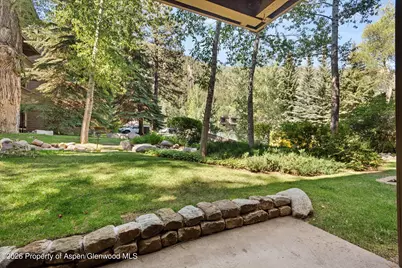 610 S West End Street #D105, Aspen, CO 81611 - Photo 5