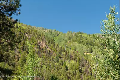 610 S West End Street #D105, Aspen, CO 81611 - Photo 19