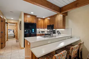 610 S West End St, Aspen, CO 81611 - Photo 9