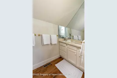 334 W Hallam Street, Aspen, CO 81611 - Photo 27