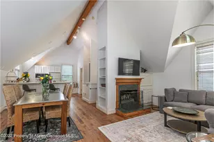 334 W Hallam St, Aspen, CO 81611 - Photo 21