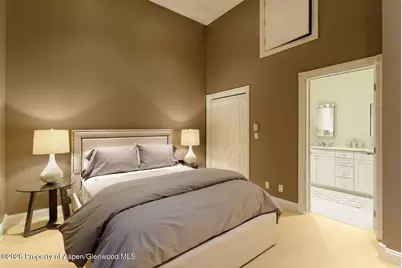 334 W Hallam Street, Aspen, CO 81611 - Photo 13