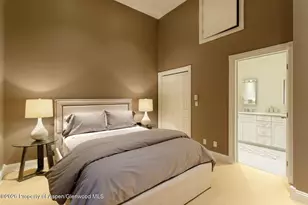 334 W Hallam St, Aspen, CO 81611 - Photo 13