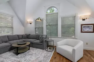334 W Hallam St, Aspen, CO 81611 - Photo 23