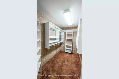 47 Locust Way, Parachute, CO 81635 - Photo 19