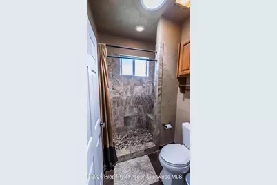 47 Locust Way, Parachute, CO 81635 - Photo 13
