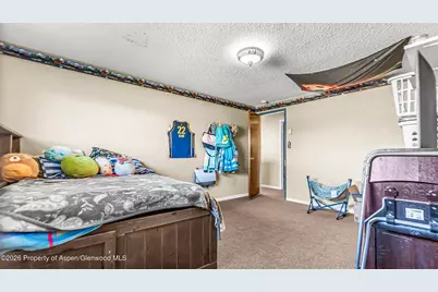 100 Mesa Drive, Meeker, CO 81641 - Photo 19