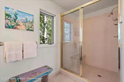 47 Davidson Lane, Snowmass, CO 81654 - Photo 23